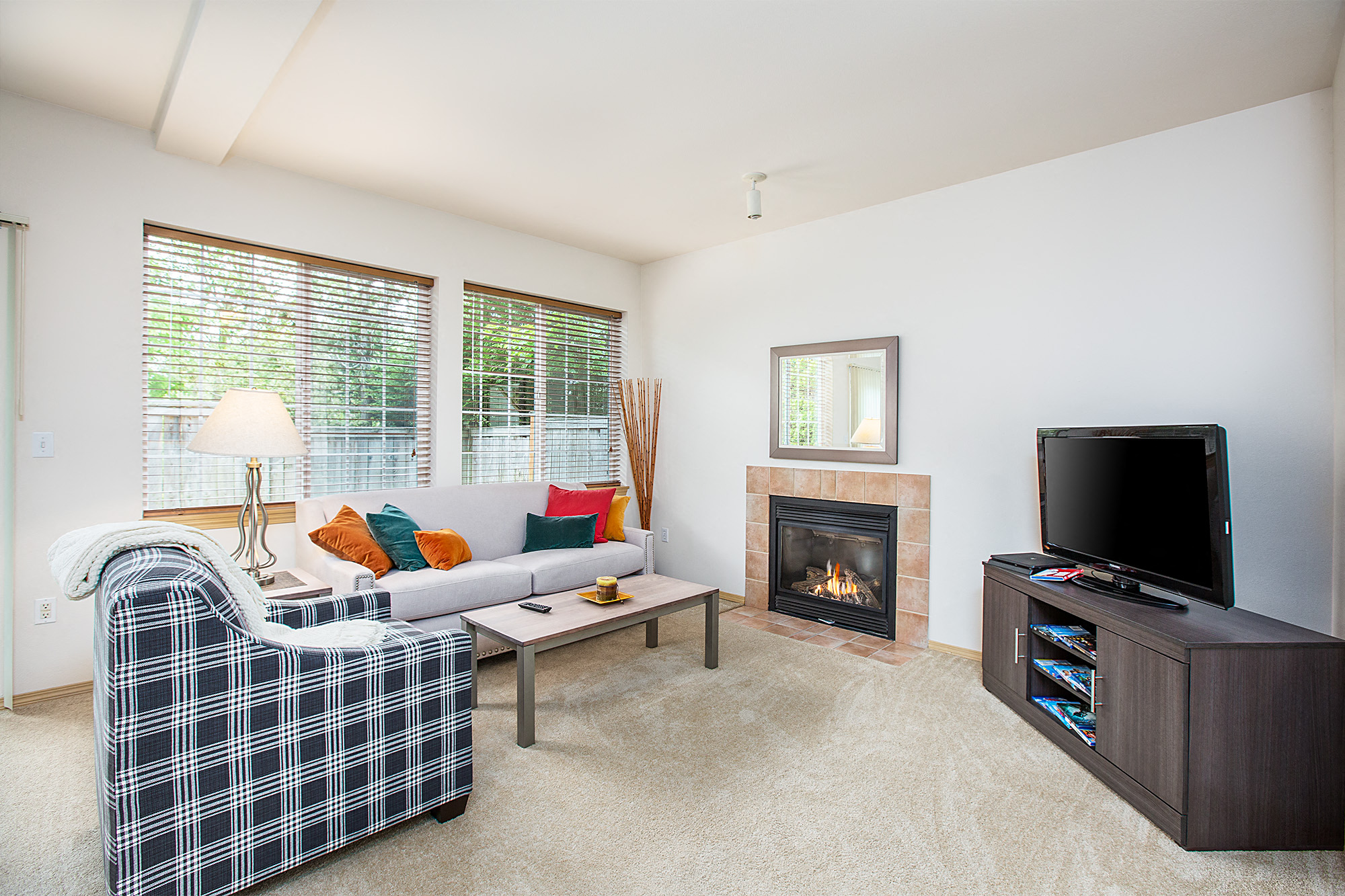 a living room with a couch and a tv and a fireplace